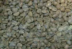 咖啡豆烘焙记录 烤箱烘焙巴拿马咖啡豆实录