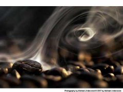 原始咖啡豆的平均化学组分如下