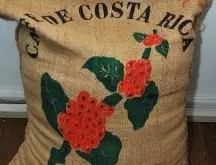 哥斯达黎加拉米妮塔咖啡豆