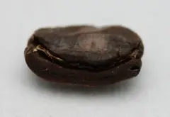 咖啡豆 望闻问切选购优质咖啡豆之切篇