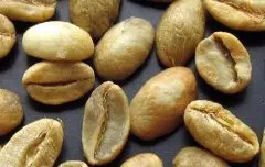 知名咖啡生豆介绍 摩卡咖啡生豆