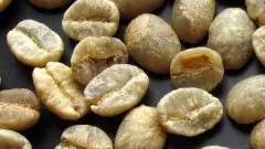 知名咖啡生豆介绍 肯尼亚咖啡生豆