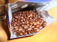 云南小粒咖啡豆（组图）