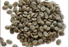咖啡豆常识 云南小粒种咖啡生豆图片