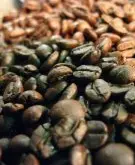云南小粒咖啡 咖啡的起源