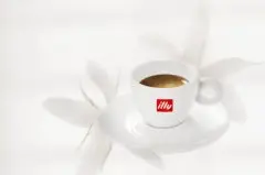 精品咖啡豆基础常识 ILLY 咖啡宣传图