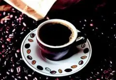 精品咖啡文化基础常识 上海咖啡文化悄然兴起