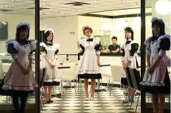 日本六大奇葩咖啡馆，你见过几个呢？