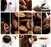 最常见到的咖啡四个种类 咖啡常识