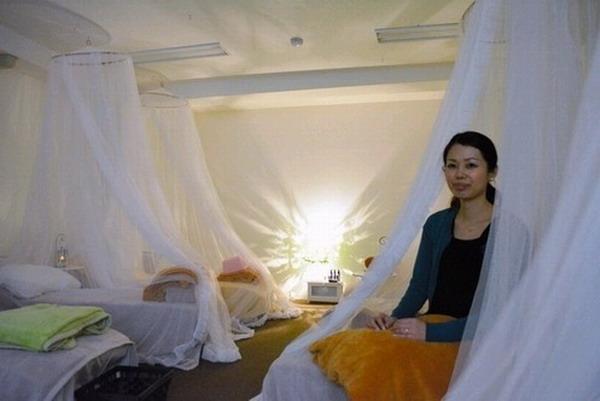 日本推出女性专用午睡咖啡店 睡10分钟需花9元