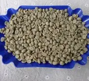 肯尼亚卡露雅庄园AA级咖啡熟豆 Kenya穆拉雅镇水洗处理下单烘焙