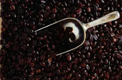 九个方面鉴定咖啡豆的好与坏