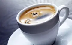 什么是猫屎咖啡 真的是猫屎吗？