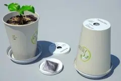 咖啡杯再利用 变身环保花盆