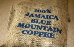 蓝山咖啡 最稀有最珍贵的精品咖啡豆