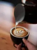 咖啡常识 咖啡是如何传入阿拉伯的？