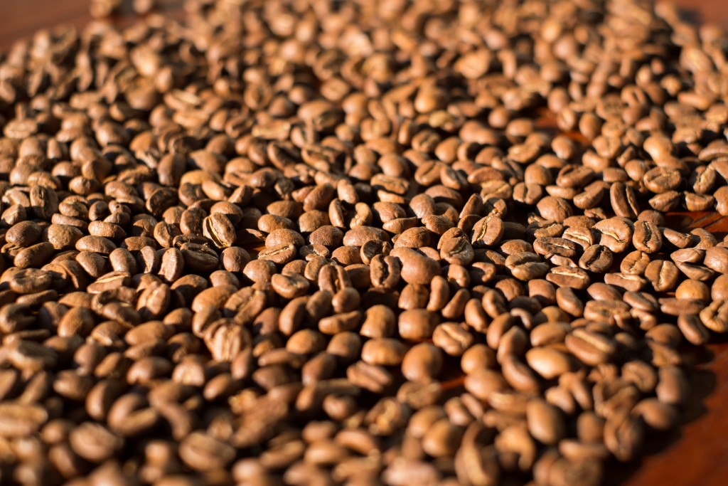 尼加拉瓜咖啡出口量及出口额双双上扬
