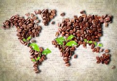 国际咖啡组织简介 一个政府间组织