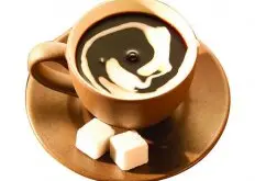 咖啡常识 节食喝咖啡真易催生骨质疏松吗？
