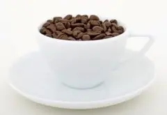 咖啡的分类有哪些？
