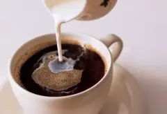 常见的咖啡种类 魔力冰淇淋咖啡
