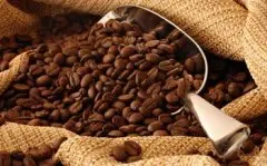 精品哈拉尔水洗咖啡豆 埃塞俄比亚水洗摩卡