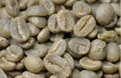 精品咖啡烘焙 卢旺达穆莎莎合作社红波旁