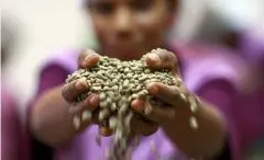 咖啡生豆储存方法条件时间 常用咖啡豆包装方式介绍