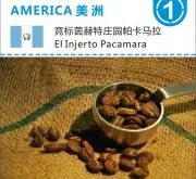 亚洲买家竞拍出“天价”珍稀咖啡