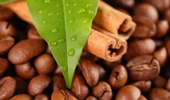 分析我国进出口咖啡行业政策 咖啡豆进口的流程