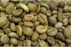 越南咖啡产量预计比计划下降两成