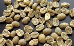 哥伦比亚SUPREMO级咖啡生豆