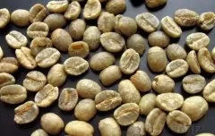 肯尼亚咖啡生豆 Kenya AA green bean