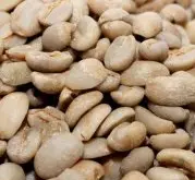 咖啡品种介绍：埃塞俄比亚哈拉尔(Harar)