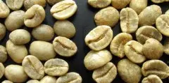 咖啡生豆：新豆、旧豆之分 生豆的主要成分为