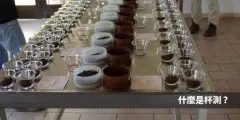 什么是咖啡杯测 总体性地判断咖啡的风味