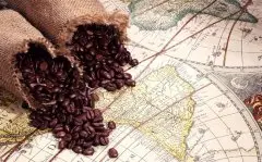 世界咖啡历史 衣索比亚牧羊人发现红色咖啡果实