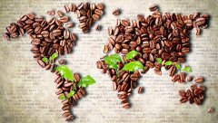 咖啡的产地及风味特点 品尝咖啡的术语