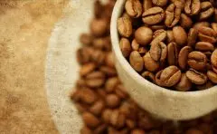 蓝山咖啡储存是要避免什么？ 咖啡豆常识