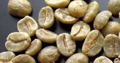知名咖啡生豆介绍 哥伦比亚咖啡生豆
