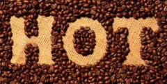 咖啡豆的规格与等级划分的技巧 咖啡基础常识