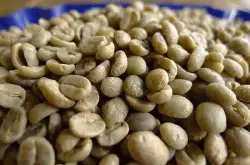 我国首个咖啡豆检验检疫行业标准发布