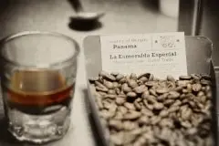 咖啡豆的基础常识 什么是平豆、圆豆、象豆？