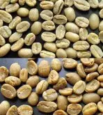 咖啡生豆分级的方法有两种 大小以筛目为单位size