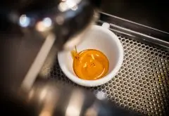 什么是Crema 意式咖啡的基础常识咖啡油脂是什么？