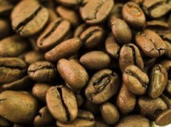 海南省最早种植咖啡的地方