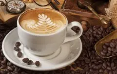 全球著名咖啡机 灿坤意式咖啡机推荐