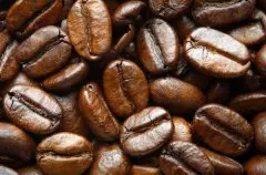咖啡的起源和成分 咖啡的来源已无从稽考