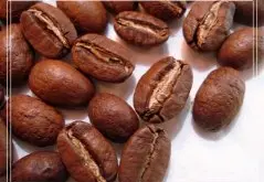 咖啡豆详情介绍 精选水洗皇家罗布斯塔咖啡豆
