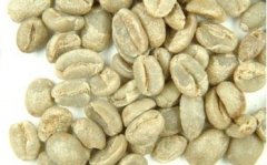 咖啡豆常识 非洲咖啡生豆刚果基伍4/Kivu 4